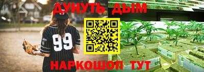 сатива Моздок